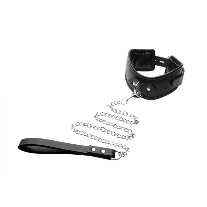 BG-38 Padded Locking Posture Collar with Leash - Imagen 3