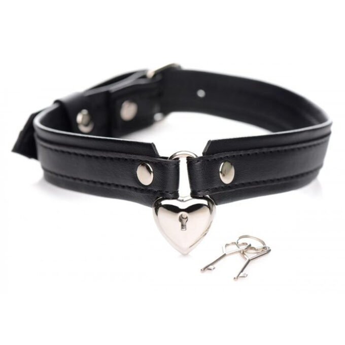 BG-31 Locking Heart Collar - Imagen 3